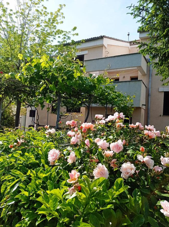Apartman Adrijana Kastav Buitenkant foto